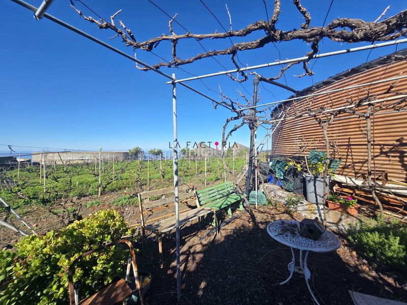 Foto e9c799f7-68c2-4c07-ad37-9bcc208677ce. Finca rústica a Vilaflor