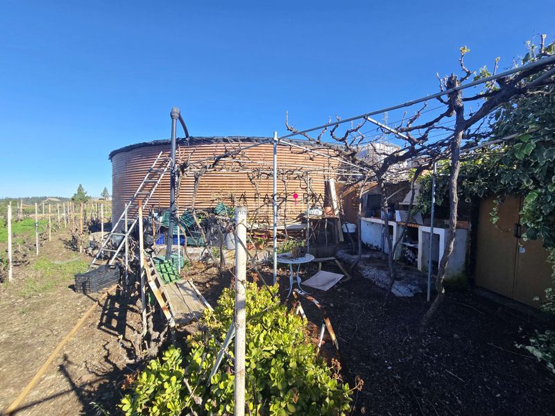 Foto fa2861da-e525-440e-97ae-03275b9d05cf. Finca rústica a Vilaflor