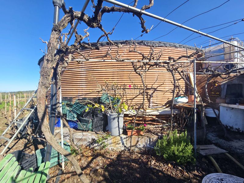 Foto 0736131b-e515-4b96-83fe-587d01999295. Finca rústica a Vilaflor