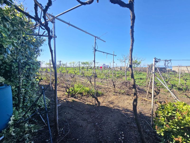 Foto 2cf48bf2-6456-463c-a5eb-9114b887b06c. Finca rústica a Vilaflor