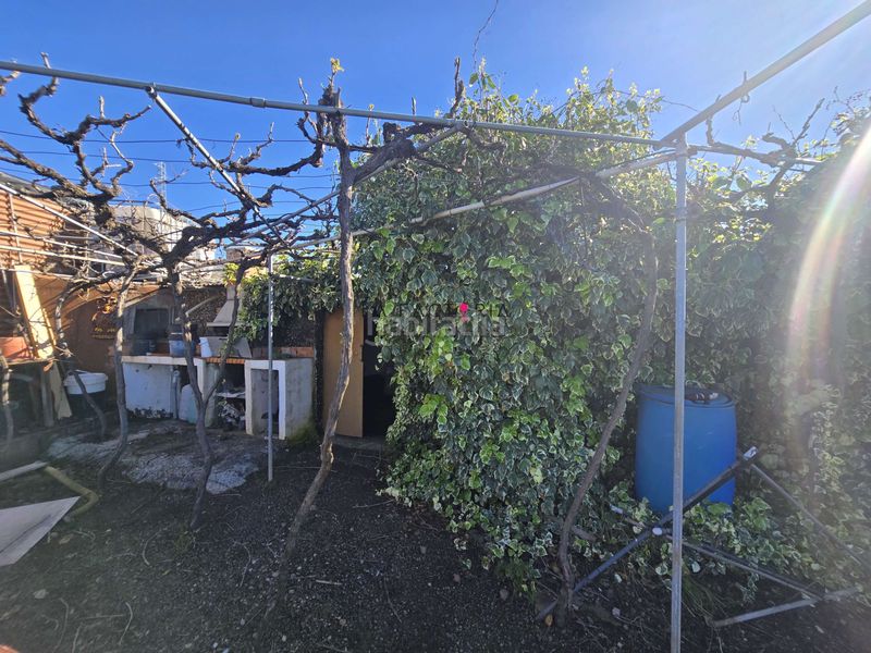 Foto 4a61f20e-c65c-4d17-915b-9337c601609d. Finca rústica a Vilaflor