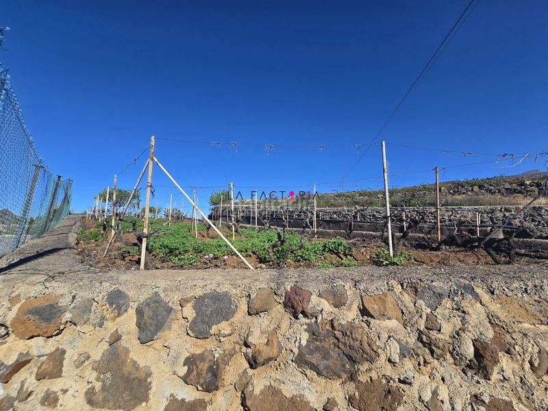 Foto 744cbb30-e764-45b0-b696-45de792e9063. Finca rústica a Vilaflor