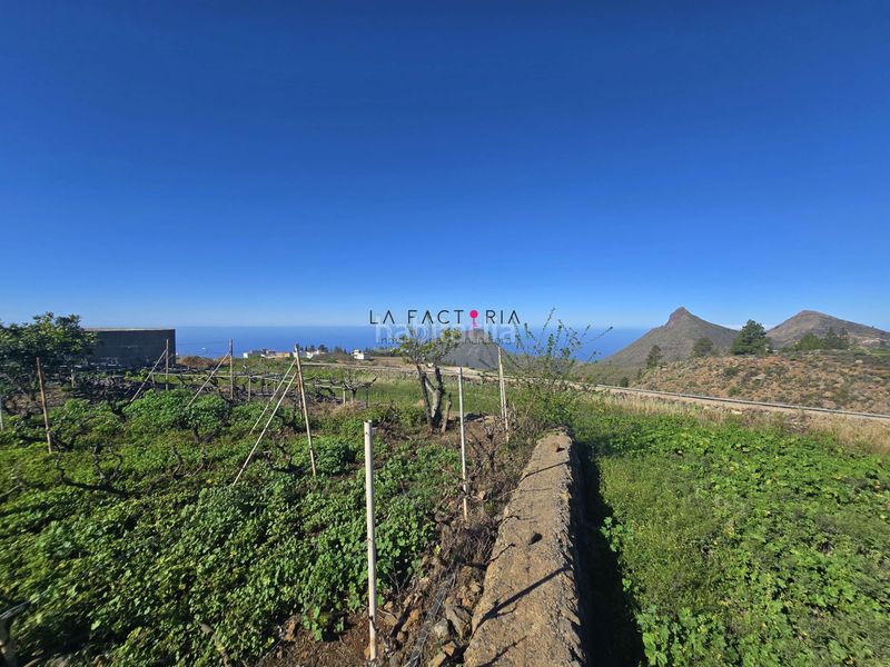 Foto 8dfea223-938f-4979-a289-2e9a6212c876. Finca rústica a Vilaflor