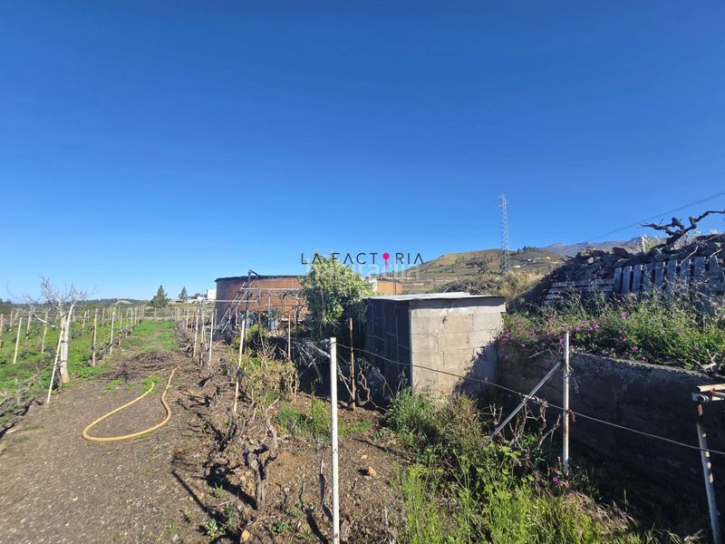 Foto a64ff855-c7b4-4c2d-9e73-a1bafd6ef20c. Finca rústica a Vilaflor