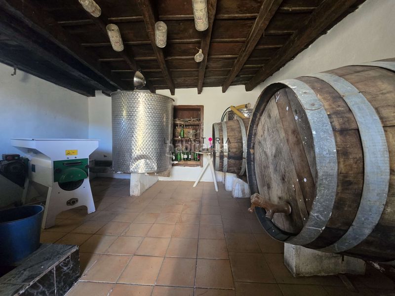 Foto b4b70dae-f762-4a2a-84c8-1f082b27118e. Finca rústica a Vilaflor