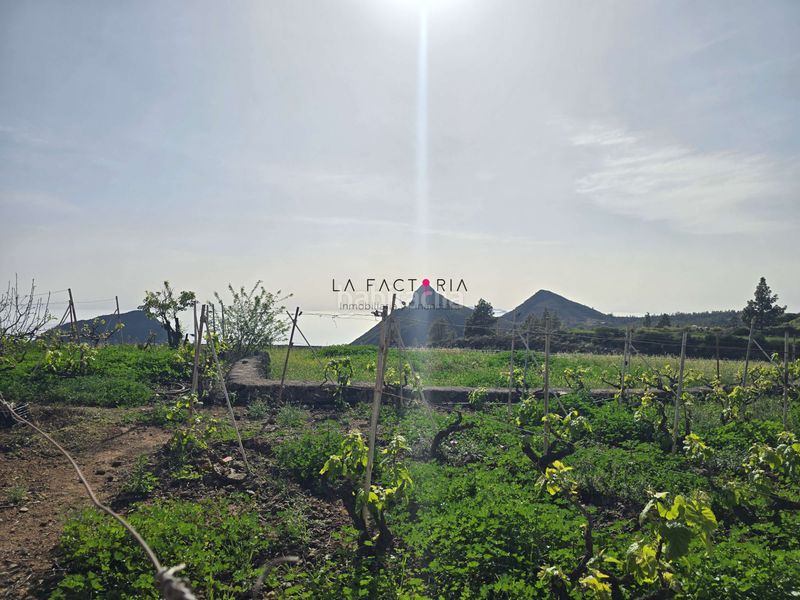 Foto ce92c106-e45e-44b6-8925-3b9d3625c745. Finca rústica a Vilaflor