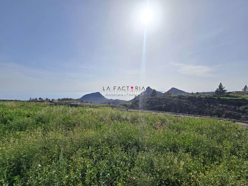 Foto ec201cd1-9f2b-4e1f-b2b1-6e427354b651. Finca rústica a Vilaflor