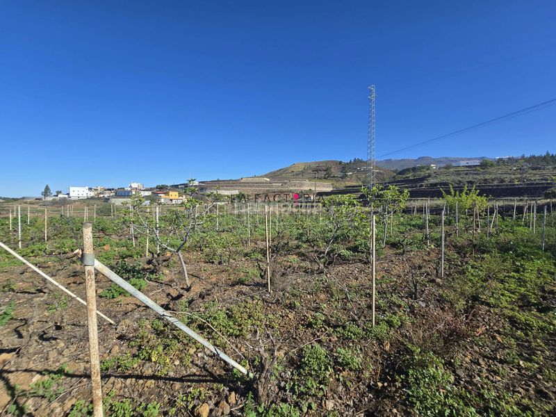 Foto ec307575-34e6-40ab-9232-e4b02594a804. Finca rústica a Vilaflor