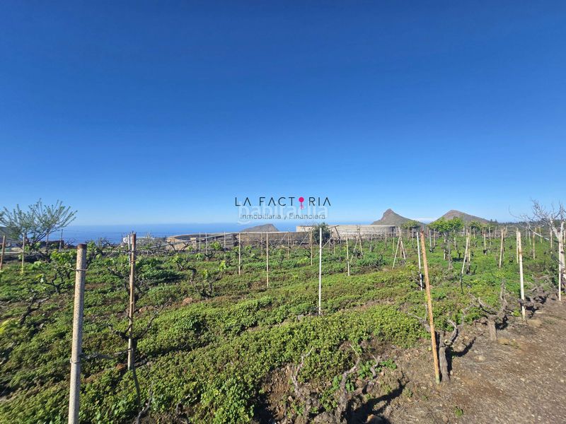 Foto ad2c2aaa-007c-40ac-8a1c-e2cd6dfa99ff. Finca rústica a Vilaflor