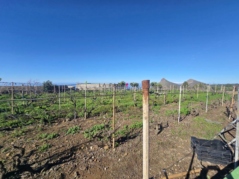 Foto cc1011ef-a4be-44cb-9c2b-37cc9ed55e48. Finca rústica a Vilaflor