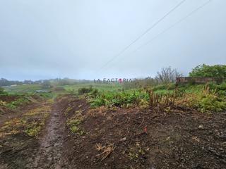 Finca rústica a Sauzal (El). Terreno en ravelo