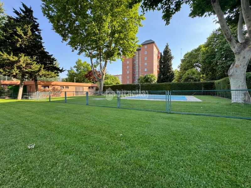 Foto 84a7f2da-1120-47d8-99a9-4e8da2ed4d2c. Pis amb calefacció piscina a Pryconsa-Juan de Austria Alcalá de Henares