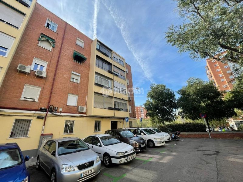 Foto 04c3e39c-07e3-4775-8cd9-29d2a6810e6d. Pis a Pilar Madrid