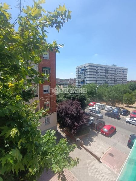 Foto 488e771f-e456-496d-ad8d-de5595939e2f. Pis a Pilar Madrid