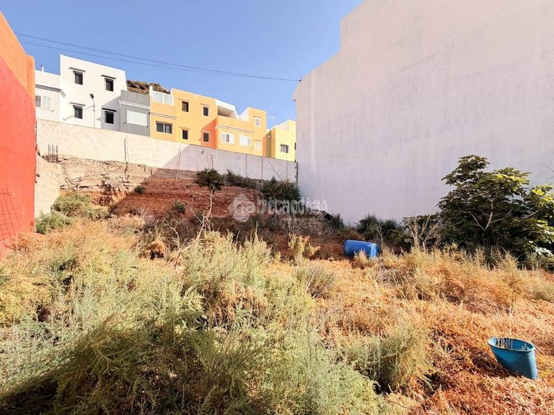 Foto cf3c8a49-f7b5-4dfe-b108-f1fc19467917. Finca rústica a Montaña los Vélez - Vargas Agüimes