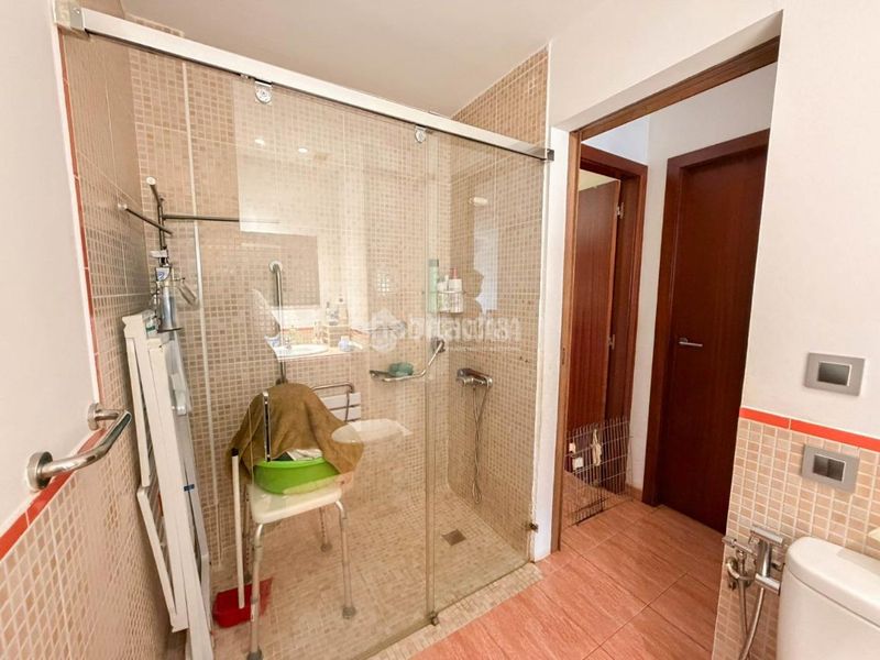 Foto dc30c2ec-0b32-4f58-bc55-213404d16987. Pis a Carrizal Ingenio