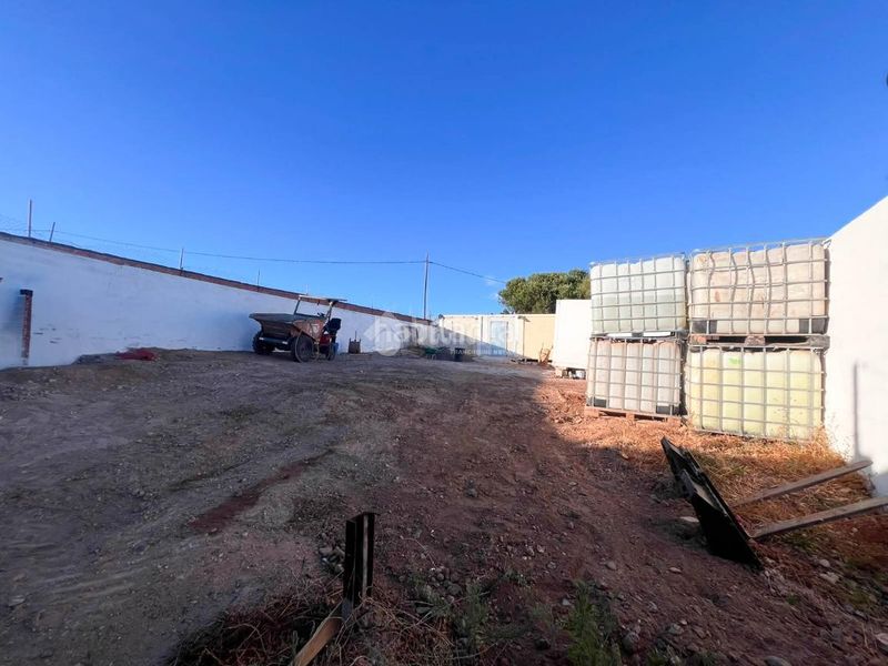 Foto 93bccc96-1744-4307-9ed9-7c399acbe1e9. Finca rústica a Ingenio pueblo Ingenio