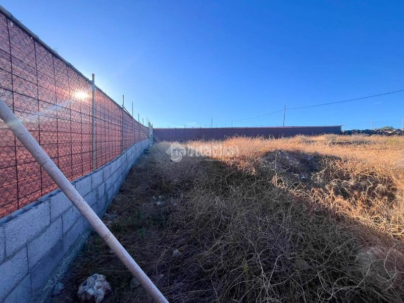 Foto f00f8e97-5d86-4308-8fb9-9ccdd1964f73. Finca rústica a Ingenio pueblo Ingenio