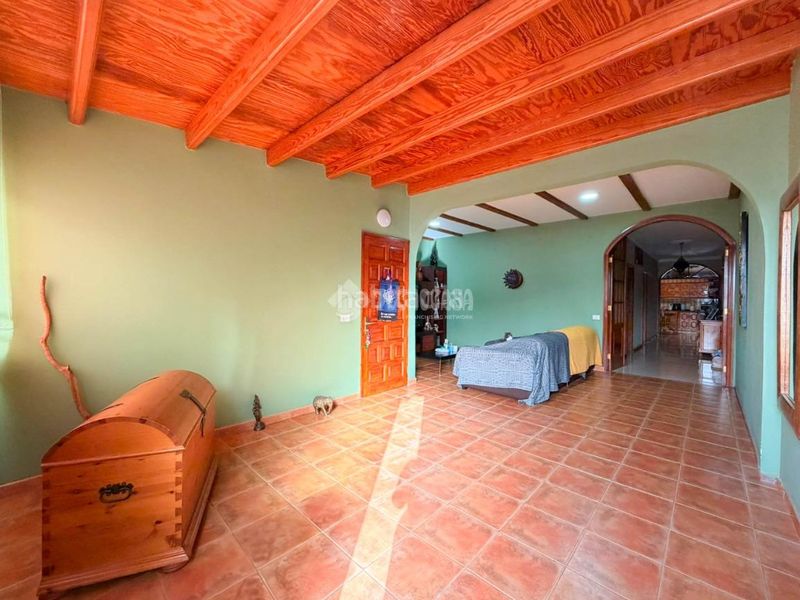Foto 13c1baf9-d7b2-413c-9ccb-cd7eb883c0a2. Pis a Carrizal Ingenio