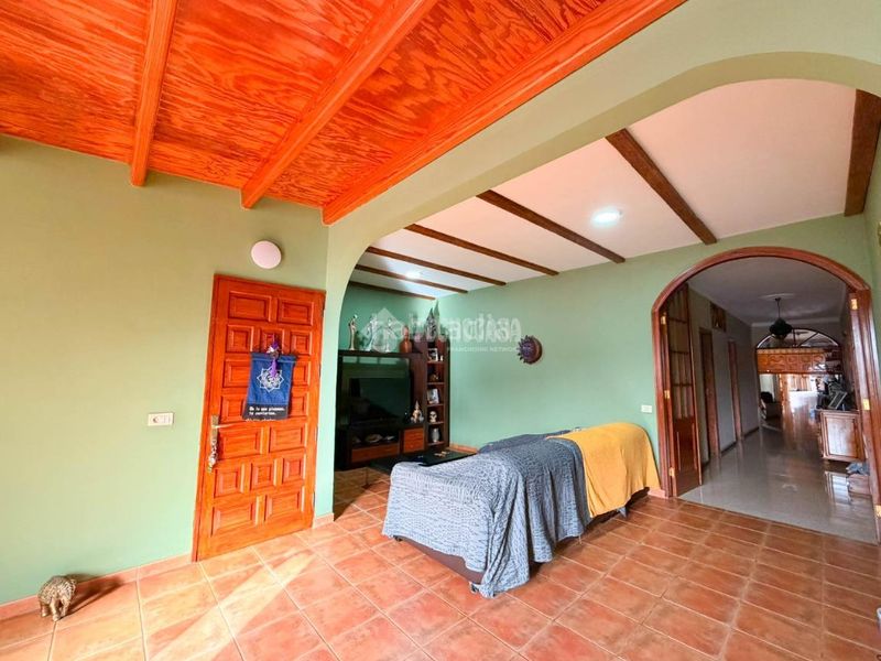 Foto a7b25405-737b-4acf-98d1-158b3fe25e58. Pis a Carrizal Ingenio