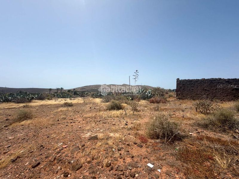 Foto e2d1a4c7-5f43-4f44-9a66-1f124de8a6d8. Terreny residencial a Ingenio pueblo Ingenio