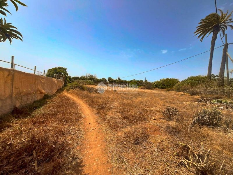 Foto 03989cb5-8181-443e-8b4c-f42a7fdbb6be. Finca rústica terrenos en venta en Ingenio pueblo Ingenio
