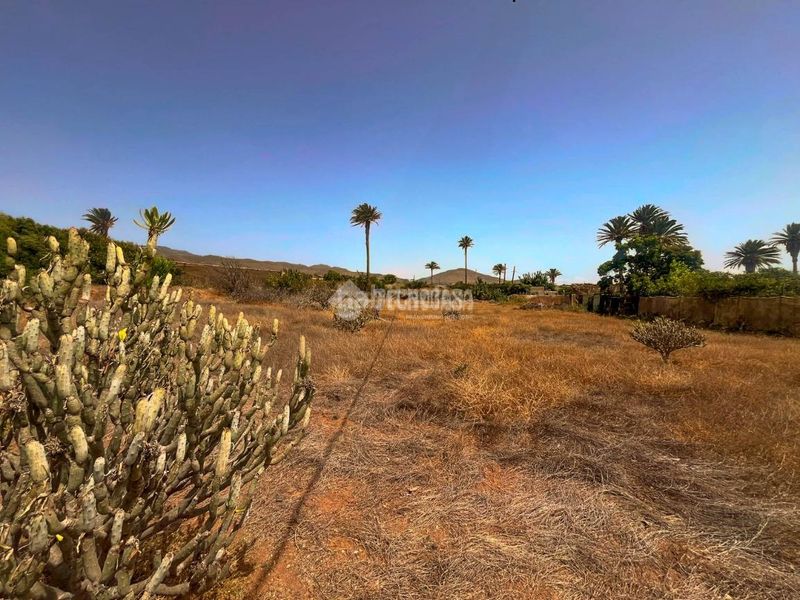 Foto 1ac3357c-f5d2-435e-bd86-cf82094b3f25. Finca rústica terrenos en venta en Ingenio pueblo Ingenio