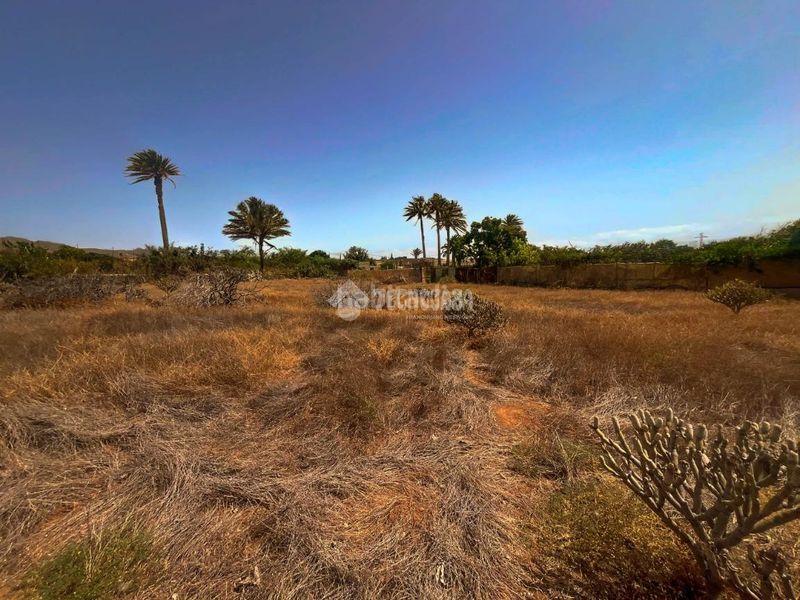 Foto 2efa27d9-0c7d-4508-98c7-33ff7dc3421c. Finca rústica terrenos en venta en Ingenio pueblo Ingenio