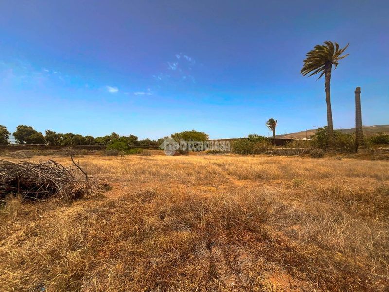 Foto 8b636a9d-97a8-4abf-b863-f93236f4ed10. Finca rústica terrenos en venta en Ingenio pueblo Ingenio
