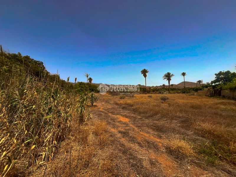 Foto 95b2379b-416d-4f5a-989e-1126f699cb9a. Finca rústica terrenos en venta en Ingenio pueblo Ingenio