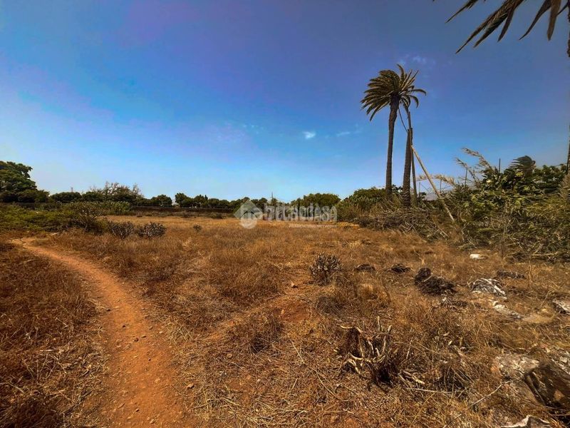 Foto a30111b1-d0cc-46fe-8636-691db4c50edb. Finca rústica terrenos en venta en Ingenio pueblo Ingenio