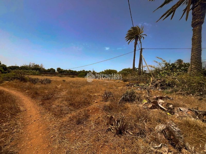 Foto ae40714d-43fa-4523-8ffc-401a3ff8096b. Finca rústica terrenos en venta en Ingenio pueblo Ingenio