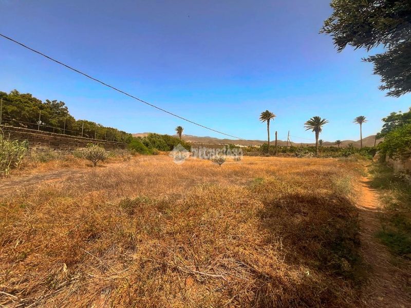 Foto c742ff4b-7341-47d7-bf4f-8e6388b608b3. Finca rústica terrenos en venta en Ingenio pueblo Ingenio