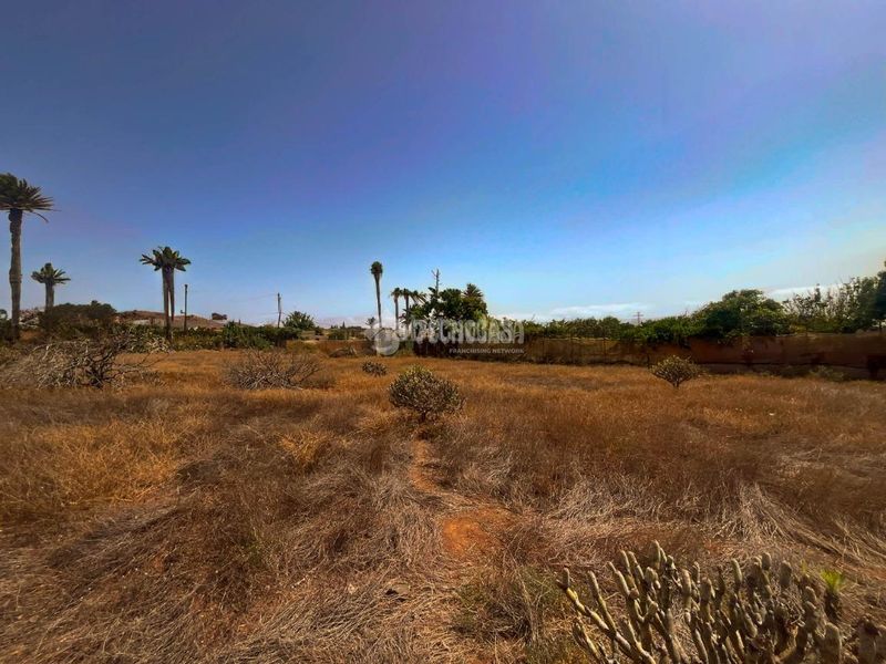 Foto cf75f7ec-5dcc-4e75-b002-c61f19445f03. Finca rústica terrenos en venta en Ingenio pueblo Ingenio