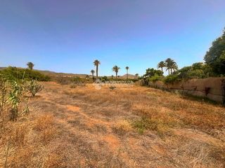 Finca rústica a Ingenio pueblo. Terrenos en venta en ingenio