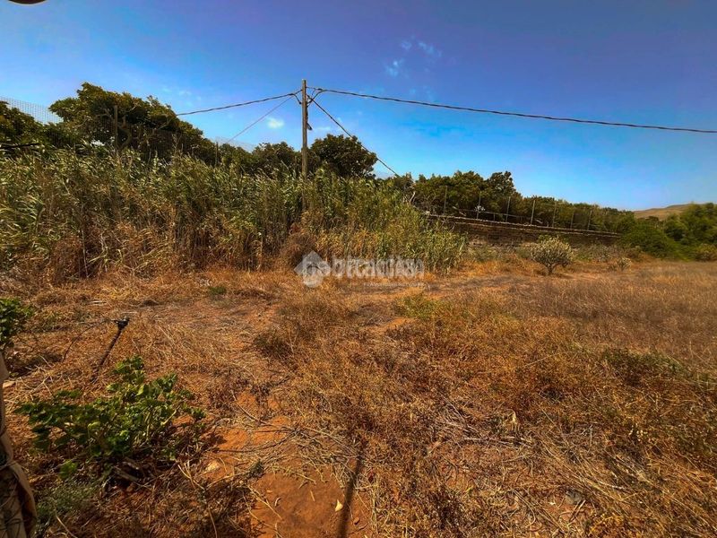 Foto f523a2d9-c070-49a9-86d1-5c6783d42234. Finca rústica terrenos en venta en Ingenio pueblo Ingenio