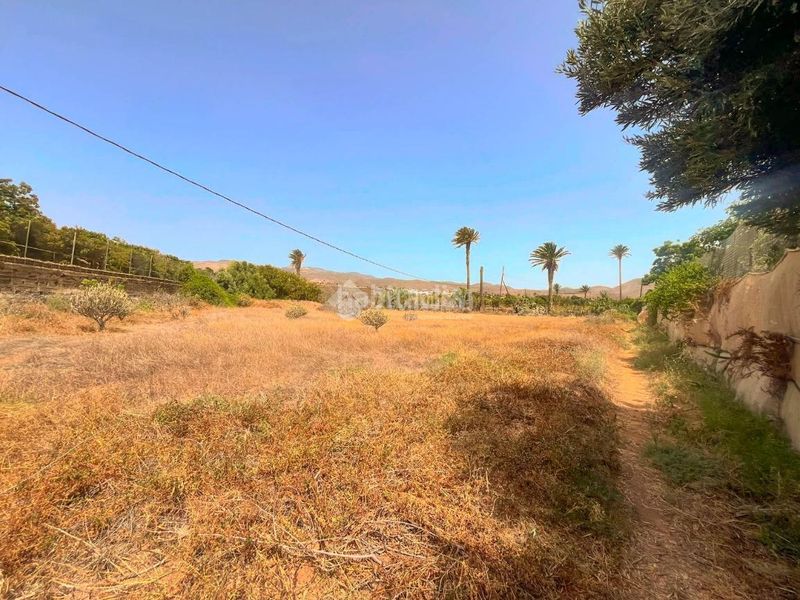Foto f6d9f7ed-a417-416a-9a85-6052082cb7d8. Finca rústica terrenos en venta en Ingenio pueblo Ingenio