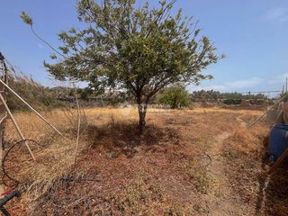 Rural plot in Escaleritas