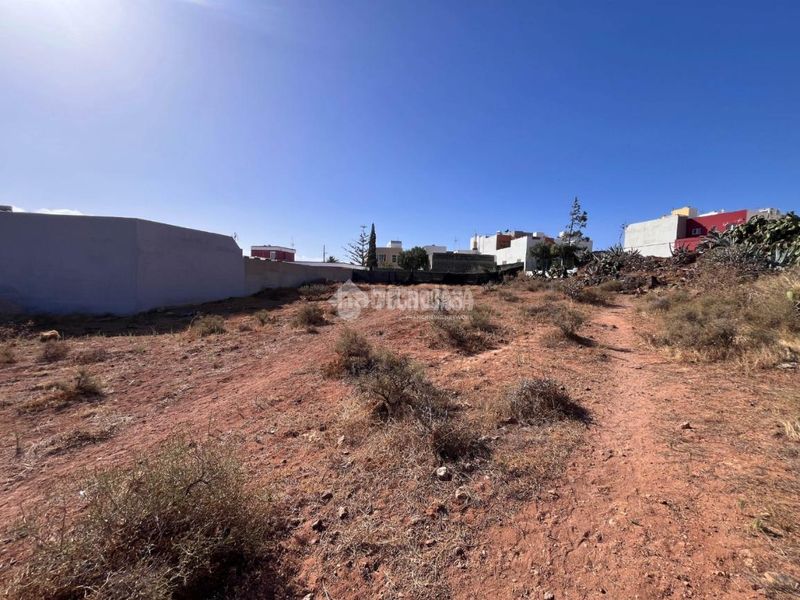 Foto 483e0ab0-293c-4854-99cb-a9e0d54d07eb. Finca rústica terrenos en venta en Ingenio pueblo Ingenio