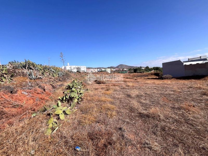 Foto 70472e49-fadb-449d-a7be-acb41efd14e8. Finca rústica terrenos en venta en Ingenio pueblo Ingenio