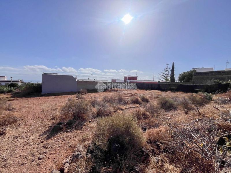 Foto 8c6b7a7e-9b94-416e-b858-bb4b79e24a8f. Finca rústica terrenos en venta en Ingenio pueblo Ingenio