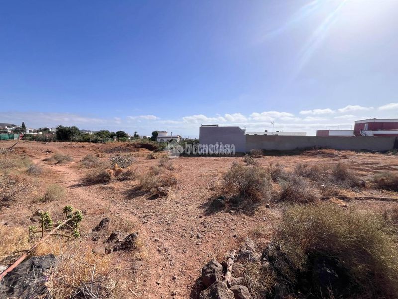 Foto a6961aa2-c7f2-45d9-8064-5a2b295ac73a. Finca rústica terrenos en venta en Ingenio pueblo Ingenio