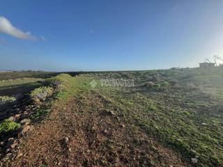 Finca rústica a Ingenio pueblo. Terrenos en venta en ingenio