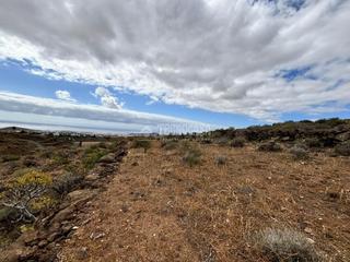 Fondo rustico en Sequero. Terrenos en venta en ingenio