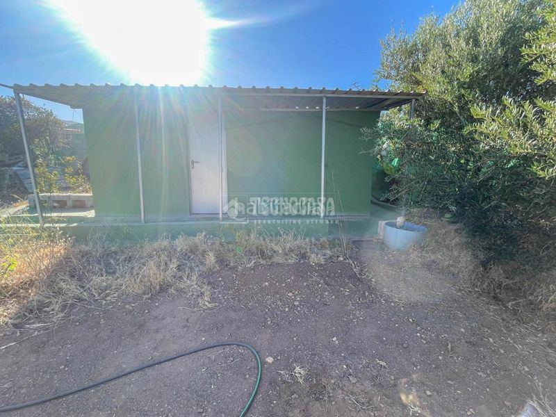 Foto 48cae04e-23a2-48e5-9bd5-b92888000eec. Masia a Ingenio pueblo Ingenio