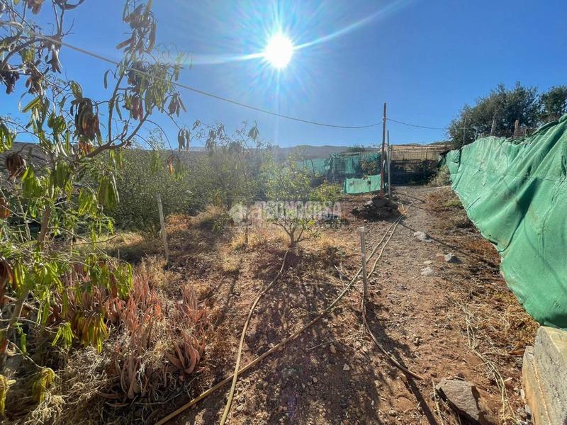 Foto 90248a12-994c-4326-bbcf-44e7d657836e. Masía casa rural en venta en Ingenio pueblo Ingenio