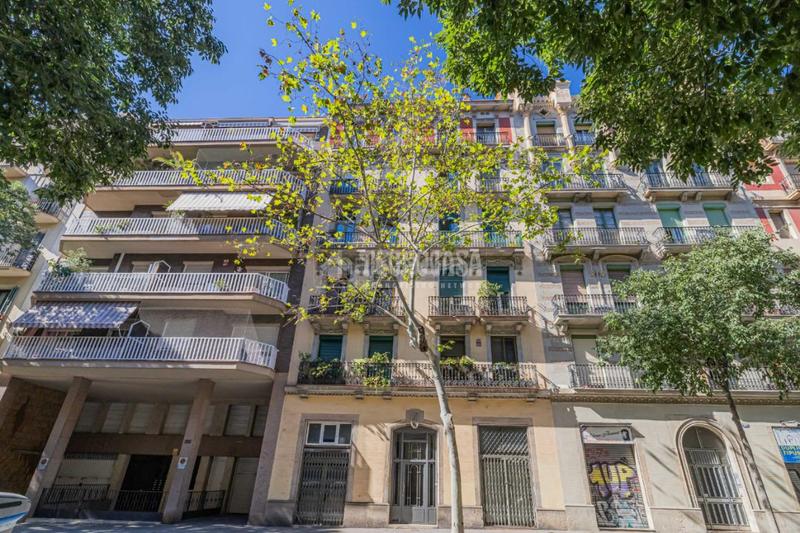 Foto fd8bb1e2-055e-4118-b273-ab5465b730aa. Pis a Fort Pienc Barcelona