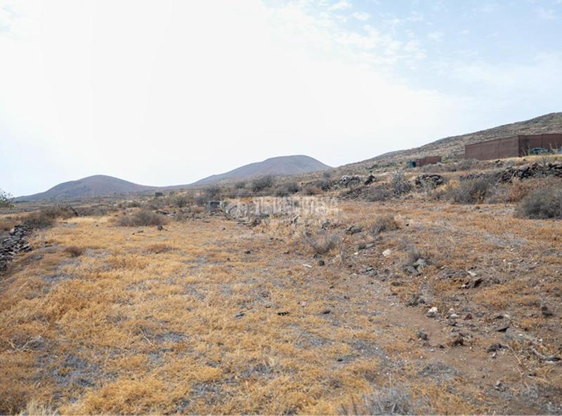 Foto 0854117e-4a4c-4f97-ade3-be33edc70a0e. Finca rústica terrenos en venta en Valle de los Nueve - El Ejido - Medianías Telde