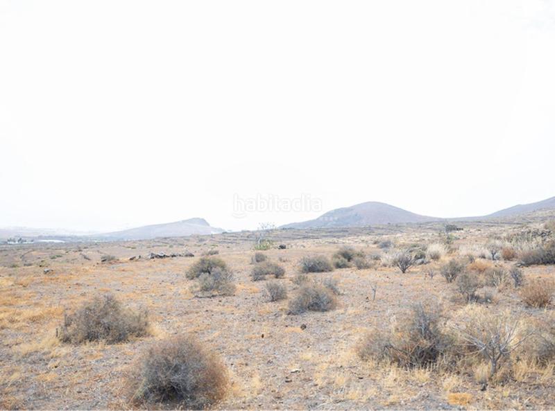 Foto 35710c8d-b9c1-42de-af9d-c4d56bdb80d1. Finca rústica terrenos en venta en Valle de los Nueve - El Ejido - Medianías Telde
