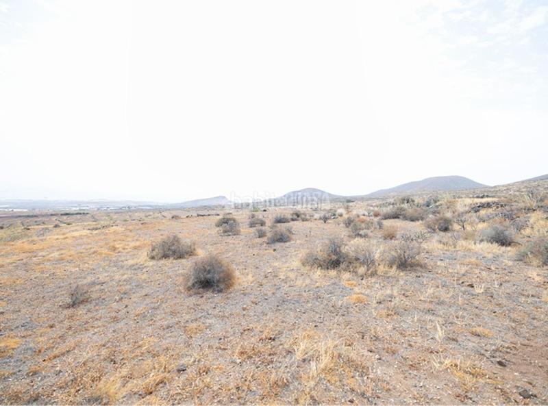 Foto 42a5bcd1-75d5-4c4f-8e3b-256cb9f2504c. Finca rústica terrenos en venta en Valle de los Nueve - El Ejido - Medianías Telde